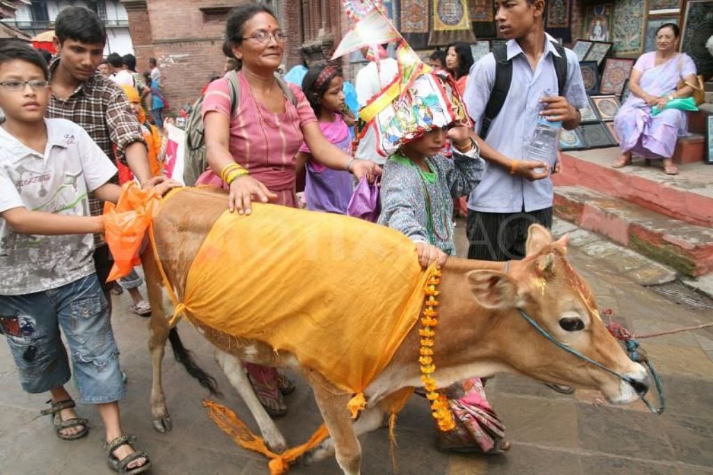 सांस्कृतिक पर्व ‘गाईजात्रा’ आज देशभर मनाइँदै 